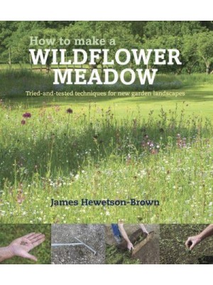 How to Make a Wildflower Meadow Tried-and-Tested Techniques for New Garden Landscapes