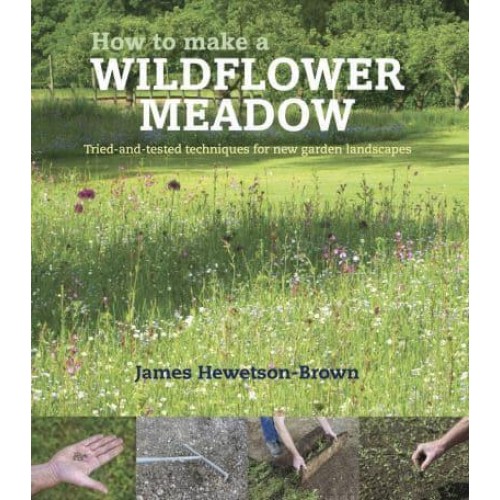 How to Make a Wildflower Meadow Tried-and-Tested Techniques for New Garden Landscapes