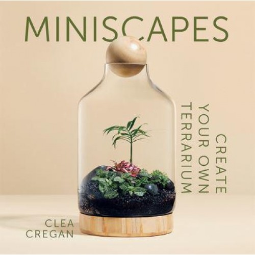 Miniscapes Create Your Own Terrarium