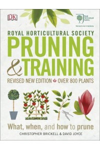 Pruning & Training