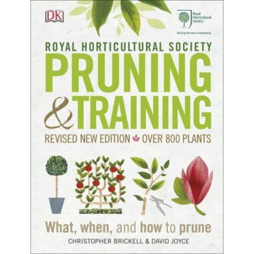 Pruning & Training