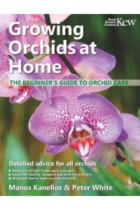 Growing Orchids at Home The Beginner's Guide to Orchid Care