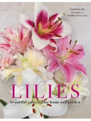 Lilies Beautiful Varieties for Home and Garden