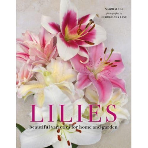 Lilies Beautiful Varieties for Home and Garden