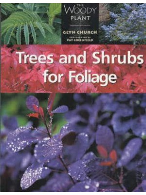 Trees and Shrubs for Foliage - The Woody Plant