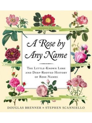 A Rose by Any Name