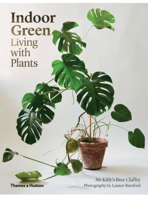 Indoor Green Living With Plants