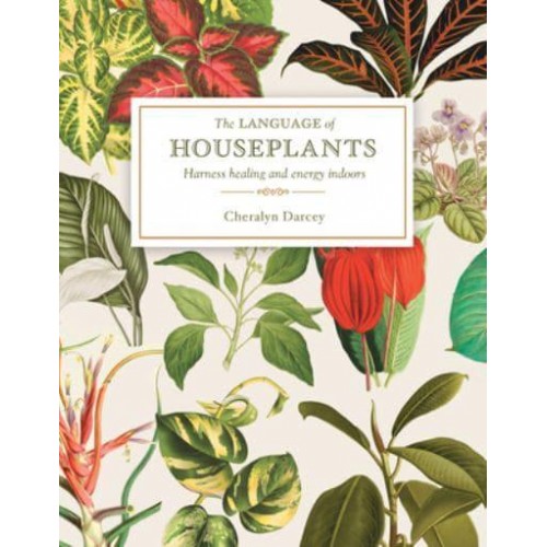 The Language of Houseplants Plants for Home and Healing