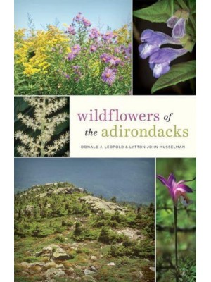 Wildflowers of the Adirondacks