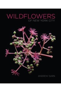 Wildflowers of New York City
