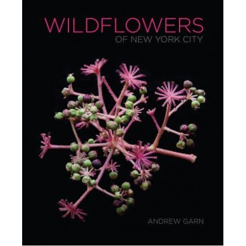 Wildflowers of New York City