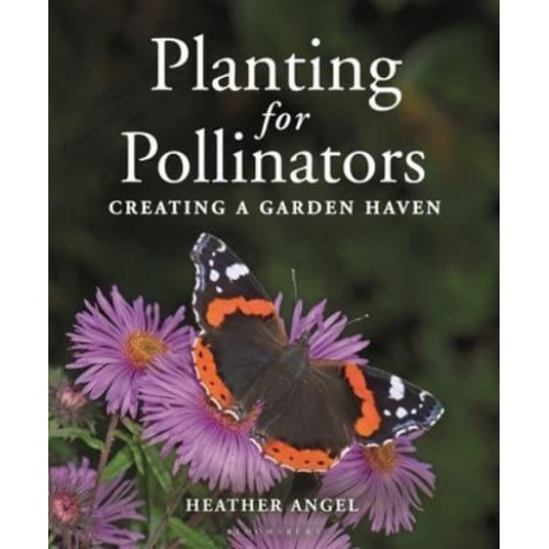 Planting for Pollinators Creating a Garden Haven