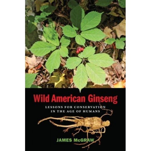 Wild American Ginseng Lessons for Conservation in the Age of Humans