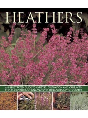 Heathers An Illustrated Guide to Varieties, Cultivation and Care, With Step-by-Step Instructions and Over 160 Beautiful Photographs