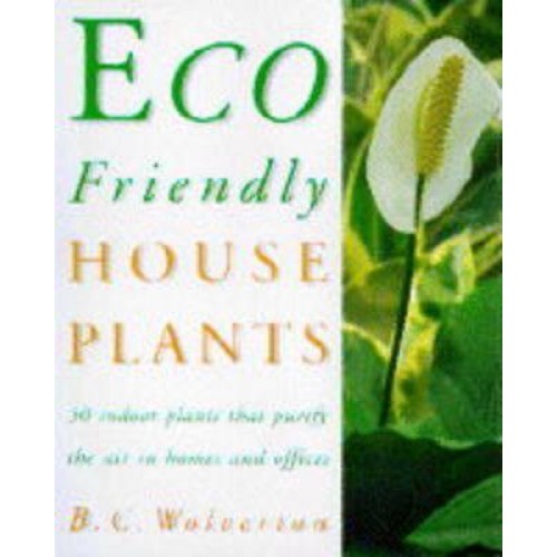 Eco-Friendly Houseplants 50 Indoor Plants That Purify the Air in Homes and Offices