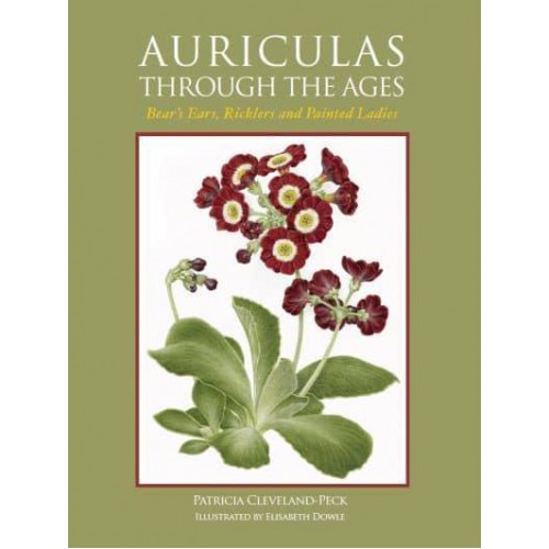 Auriculas Through the Ages Bear's Ears, Ricklers and Painted Ladies