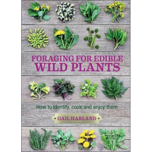Foraging for Edible Wild Plants How to Identify, Cook and Enjoy Them