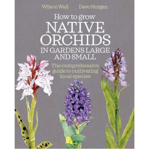 How to Grow Native Orchids in Gardens Large and Small A Comprehensive Guide to Cultivating Local Species