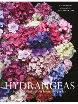 Hydrangeas Beautiful Varieties for Home and Garden