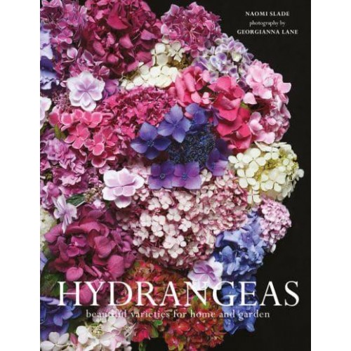 Hydrangeas Beautiful Varieties for Home and Garden