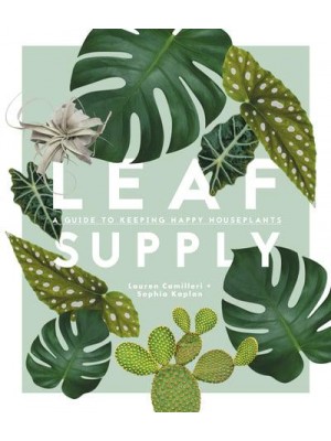 Leaf Supply A Guide to Keeping Happy House Plants