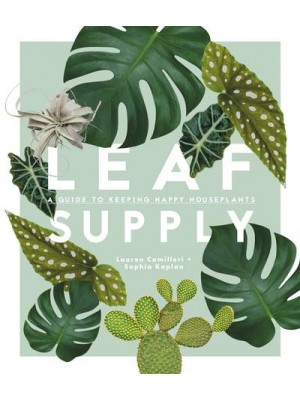 Leaf Supply A Guide to Keeping Happy House Plants