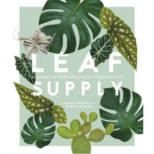 Leaf Supply A Guide to Keeping Happy House Plants