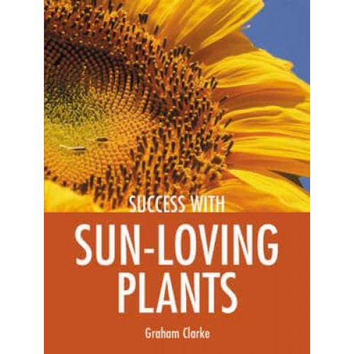 Success With Sun-Loving Plants