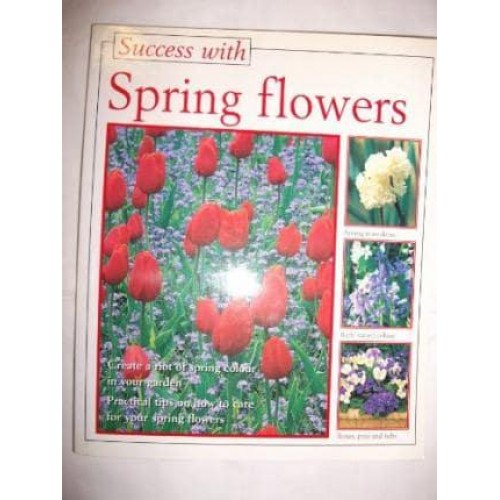 Success With Spring Flowers