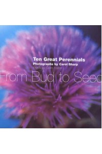 Great Perennials From Bud to Seed