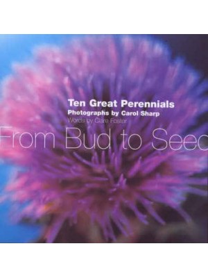 Great Perennials From Bud to Seed