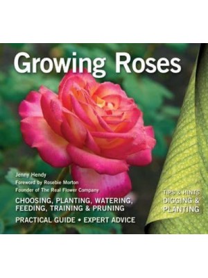 Growing Roses - Tips & Hints Digging & Planting