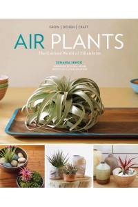 Air Plants The Curious World of Tillandsias