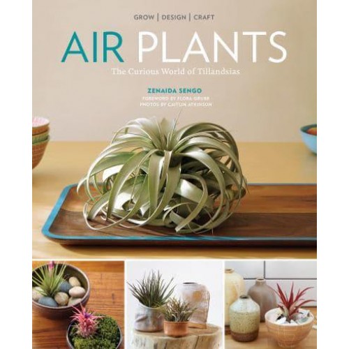 Air Plants The Curious World of Tillandsias