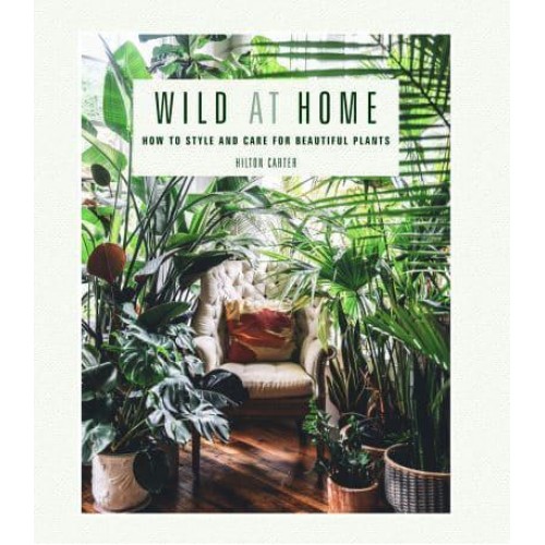 Wild at Home How to Style and Care for Beautiful Plants