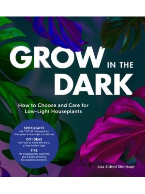 Grow in the Dark How to Choose and Care for Low-Light Houseplants