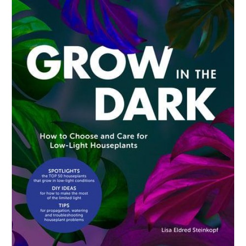 Grow in the Dark How to Choose and Care for Low-Light Houseplants