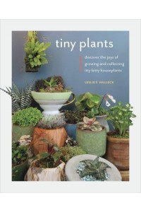 Tiny Plants Discover the Joys of Growing and Collecting Itty-Bitty Houseplants