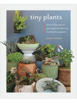 Tiny Plants Discover the Joys of Growing and Collecting Itty-Bitty Houseplants