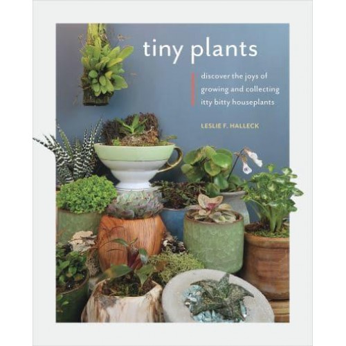 Tiny Plants Discover the Joys of Growing and Collecting Itty-Bitty Houseplants