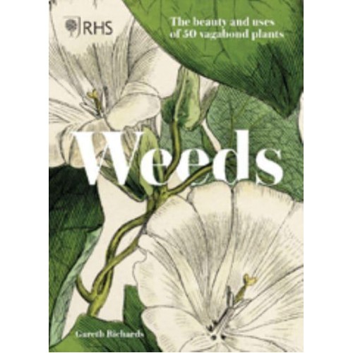 Weeds Fifty Untamed and Beautiful Vagabond Plants