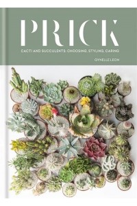 Prick Cacti and Succulents : Choosing, Styling, Caring