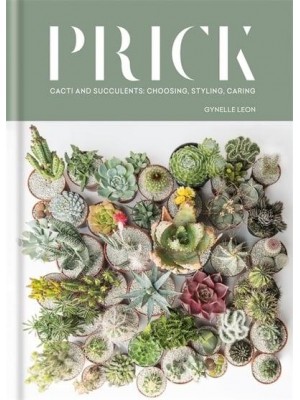 Prick Cacti and Succulents : Choosing, Styling, Caring
