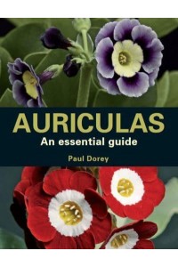 Auriculas As Essential Guide