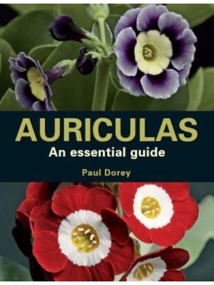 Auriculas As Essential Guide