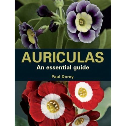 Auriculas As Essential Guide