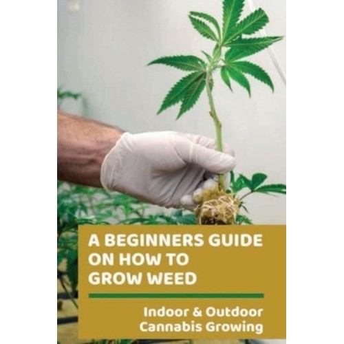 A Beginners Guide On How To Grow Weed Indoor & Outdoor Cannabis Growing: Harvesting Of Cannabis