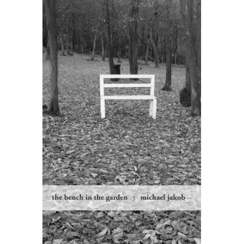 The Bench in the Garden