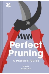 Perfect Pruning