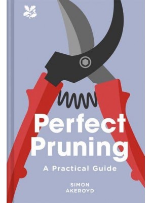 Perfect Pruning